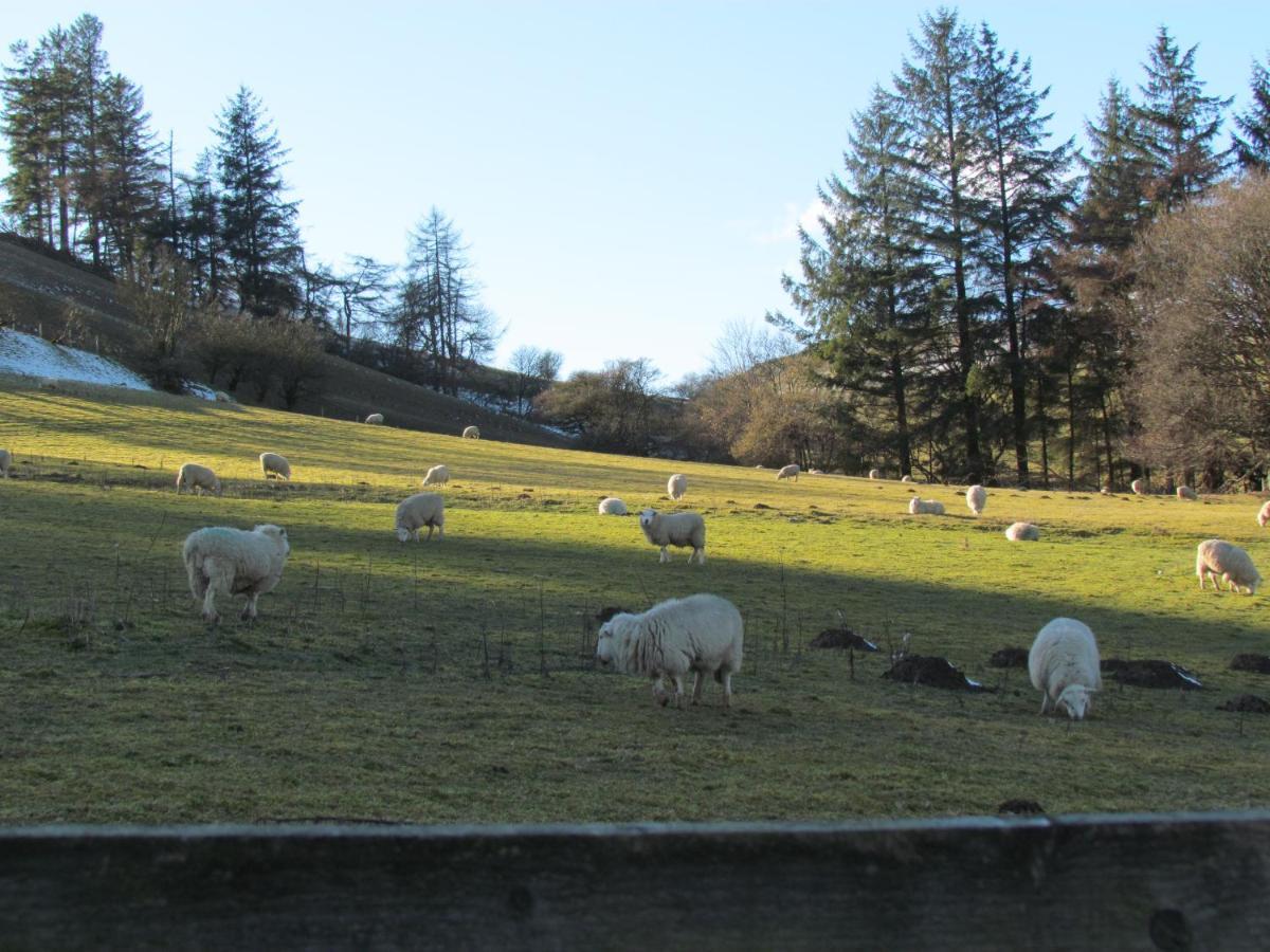 Wild Valley Bunkhouse Llanrhaeadr-ym-Mochnant Extérieur photo