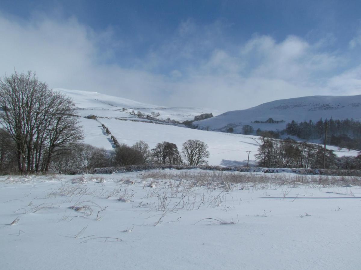 Wild Valley Bunkhouse Llanrhaeadr-ym-Mochnant Extérieur photo